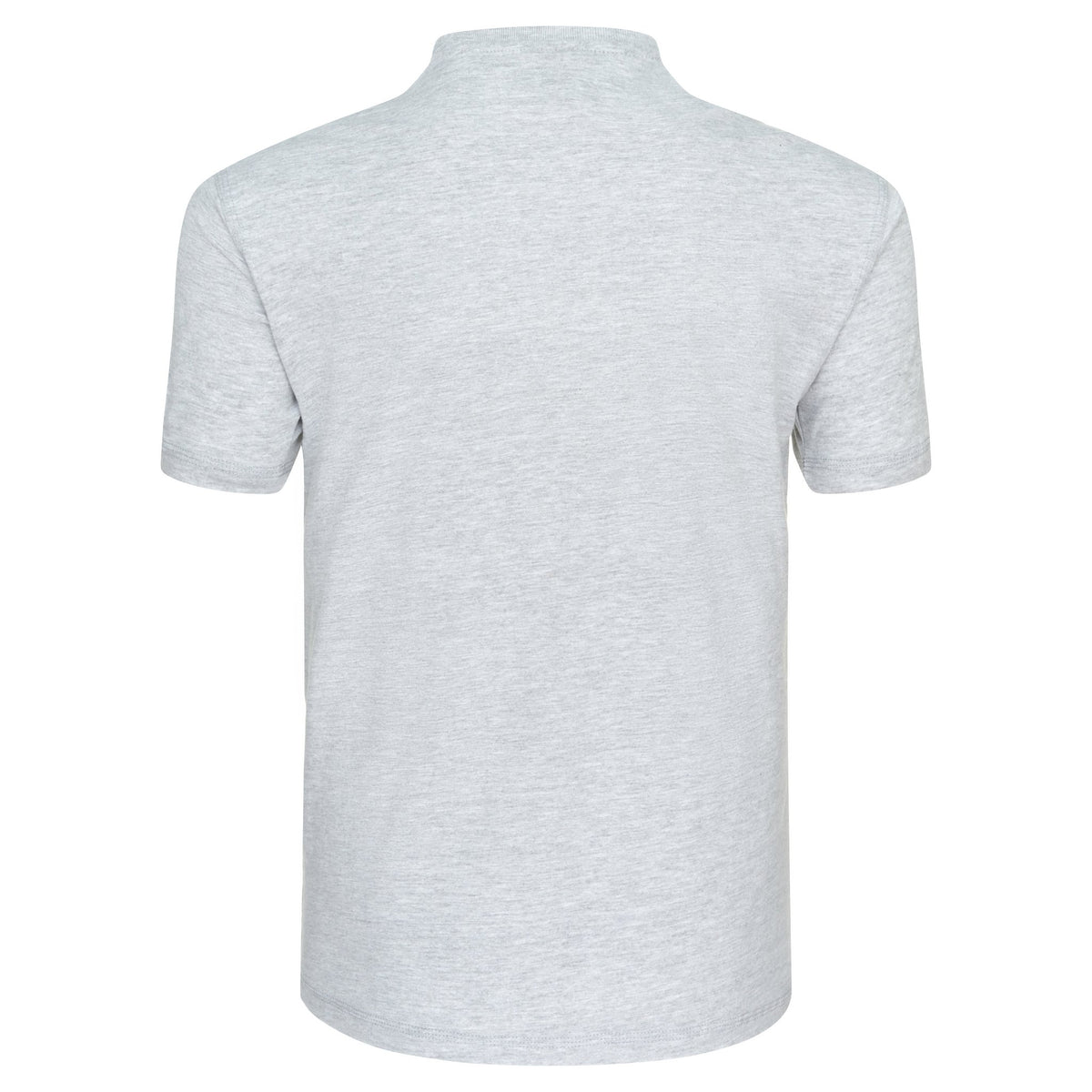 ØRN Plover T-Shirt – Ash – back