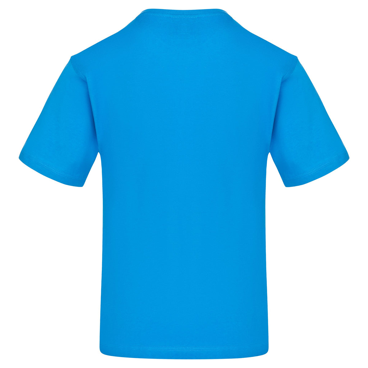 ØRN Plover T-Shirt – Reflex Blue – back