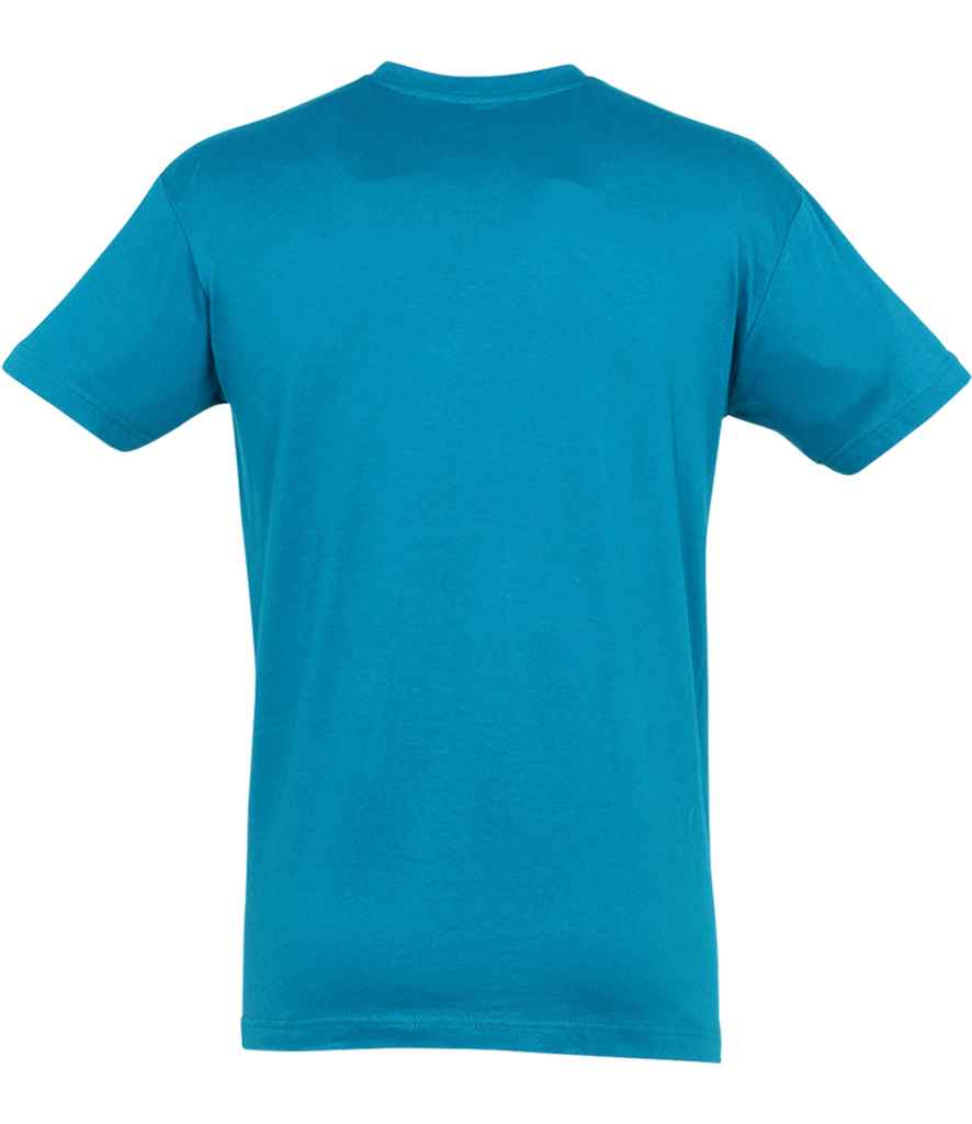 SOL'S Regent T-Shirt in Aqua, back view