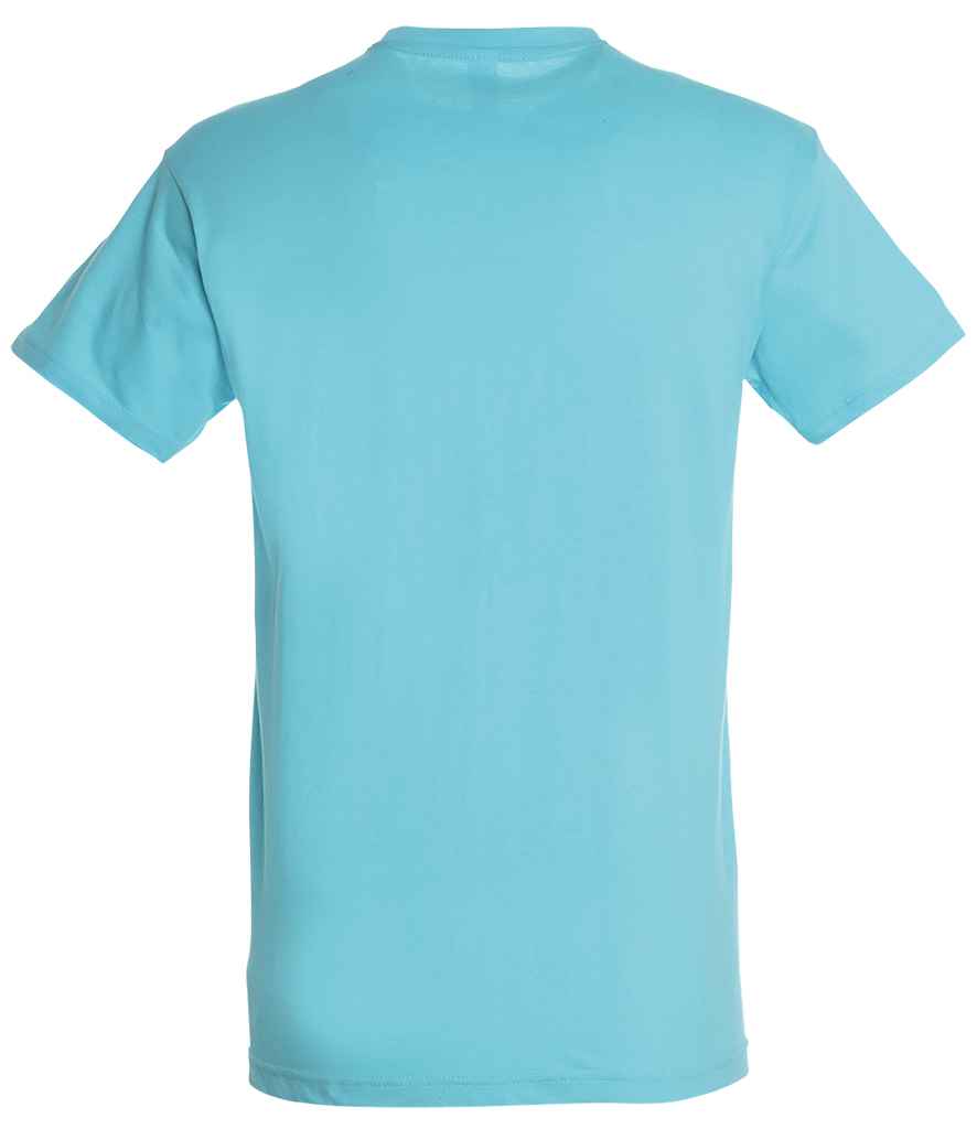 SOL'S Regent T-Shirt in Atoll Blue, back view