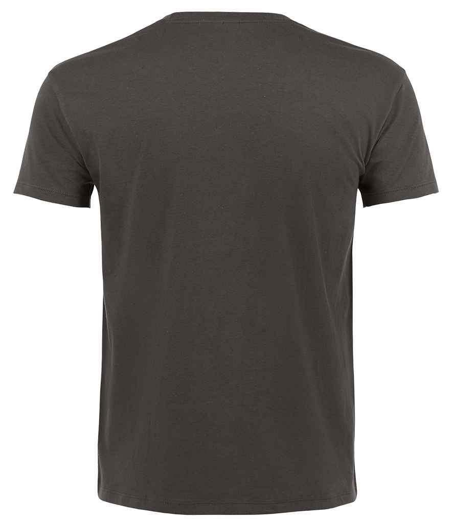 SOL'S Regent T-Shirt in Dark Grey, back view