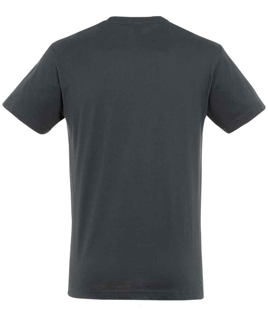 SOL'S Regent T-Shirt, back view