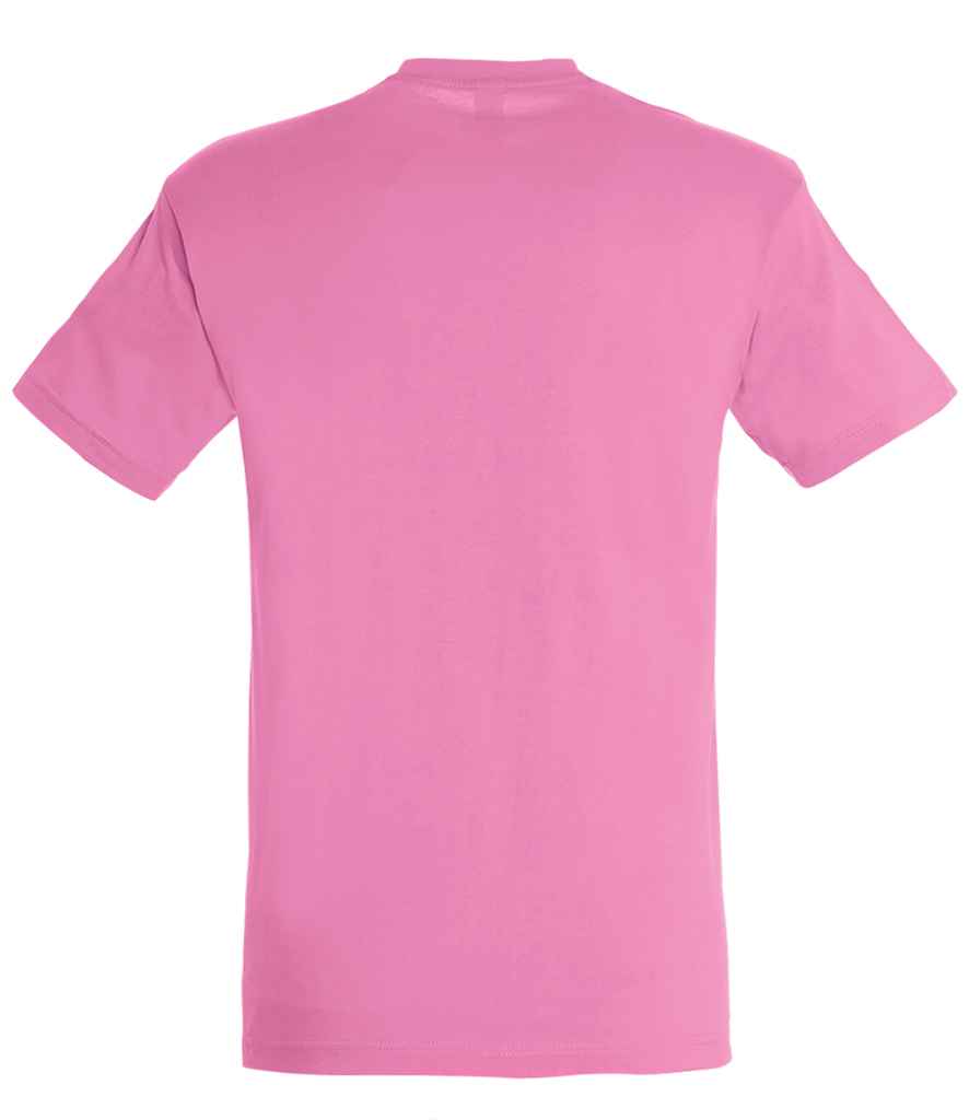 SOL'S Regent T-Shirt, back view