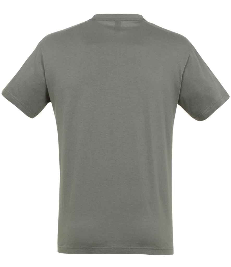 SOL'S Regent T-Shirt in Zinc, back view