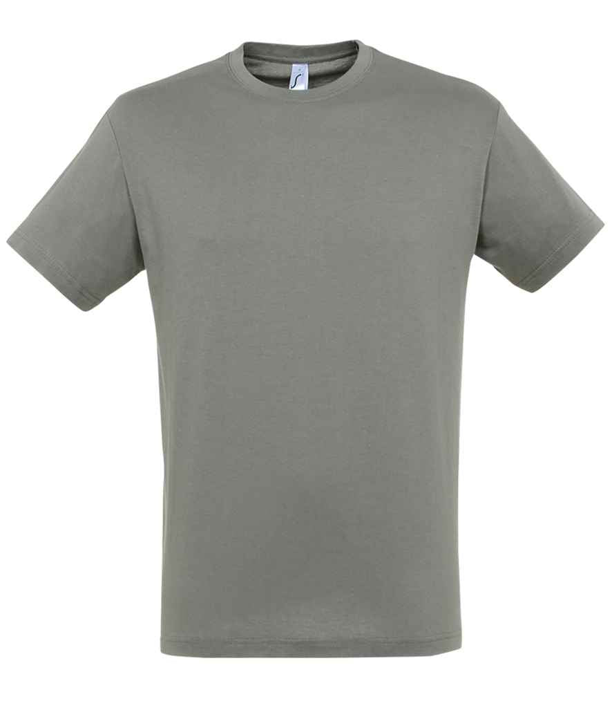 SOL'S Regent T-Shirt in Zinc, front view