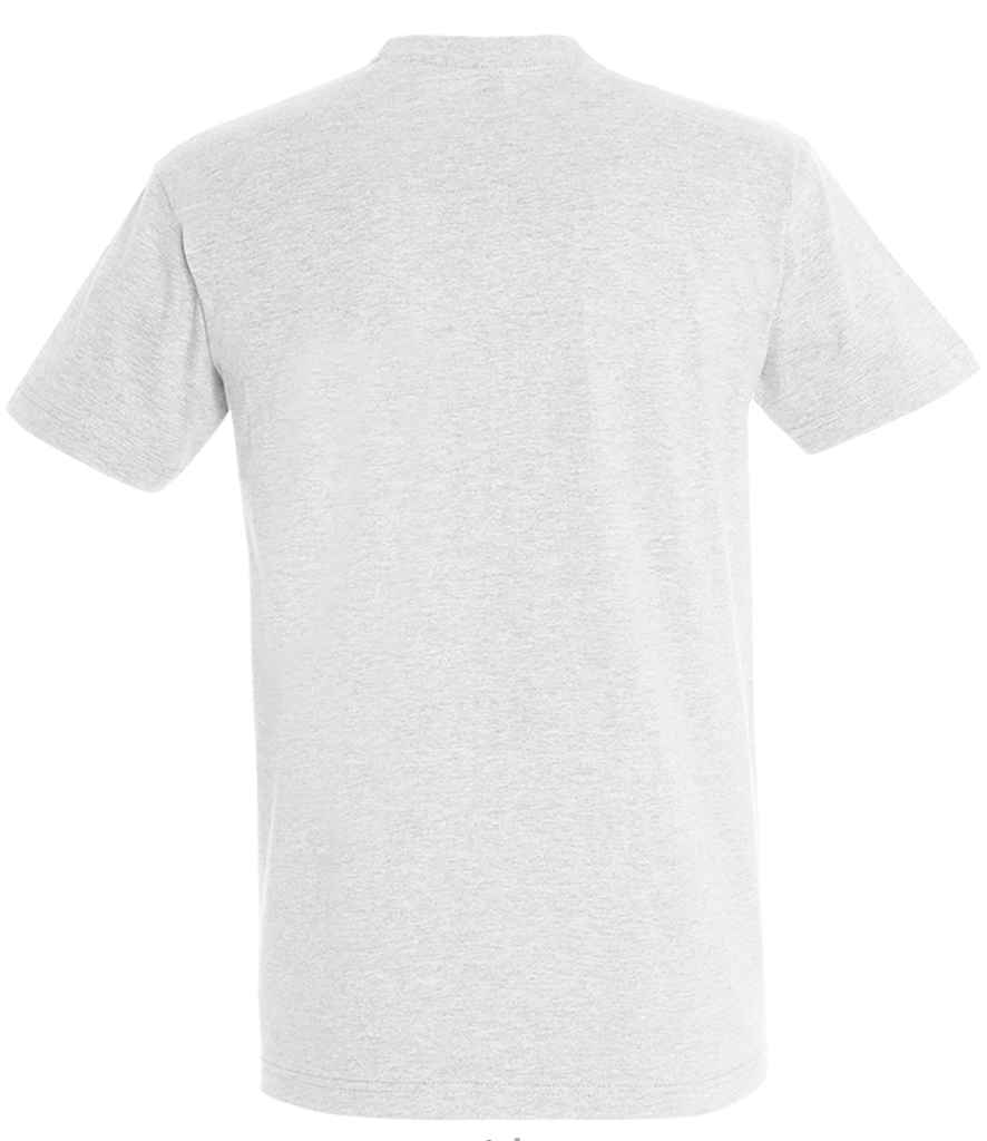 SOL'S Imperial Heavy T-Shirt in Ash, back view