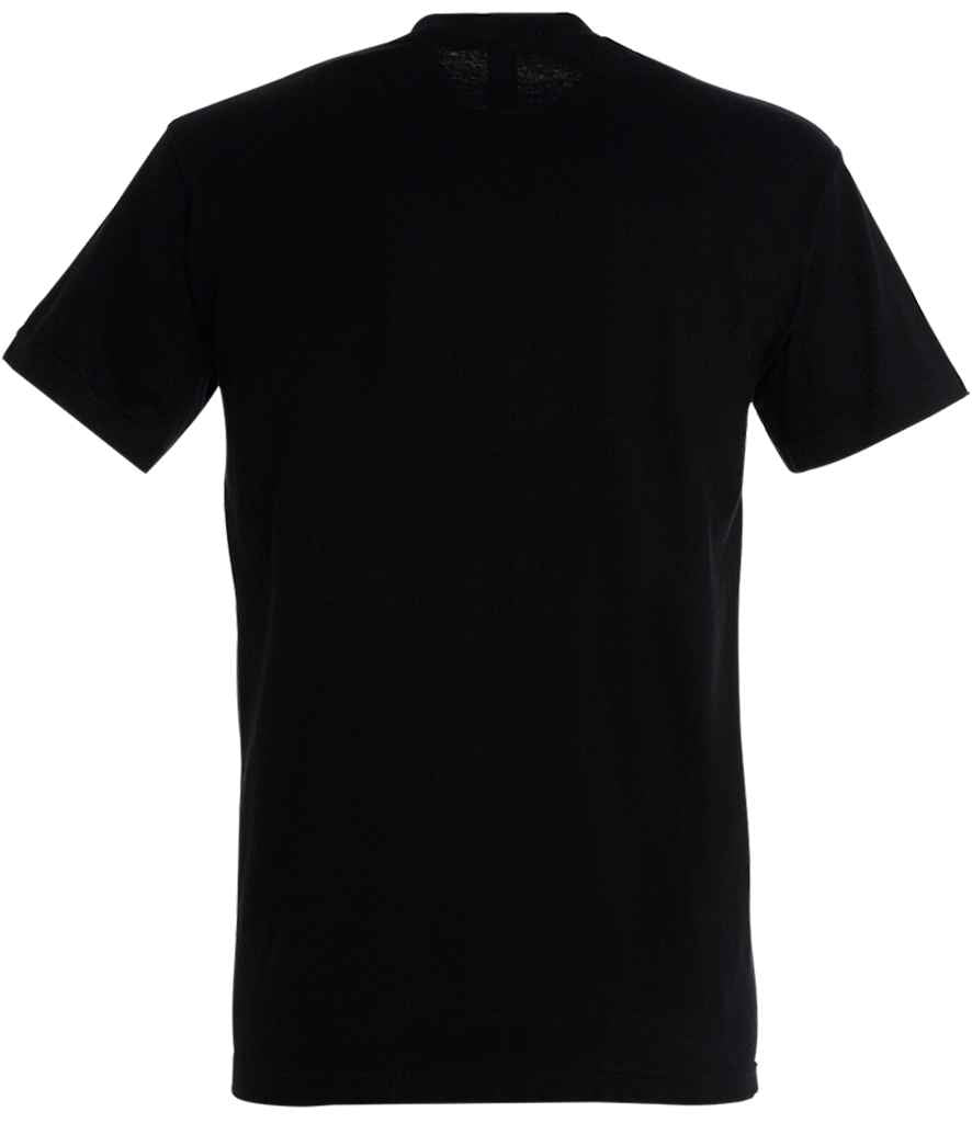 SOL'S Imperial Heavy T-Shirt in Deep Black, back view