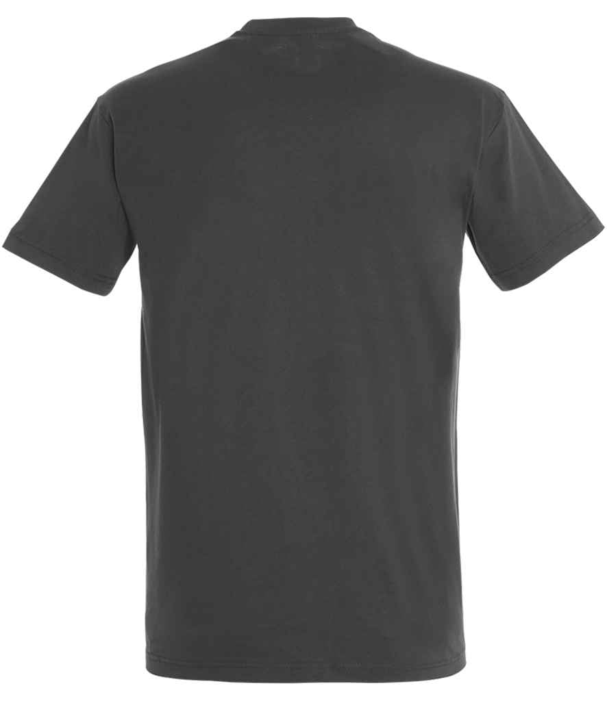 SOL'S Imperial Heavy T-Shirt in Dark Grey, back view