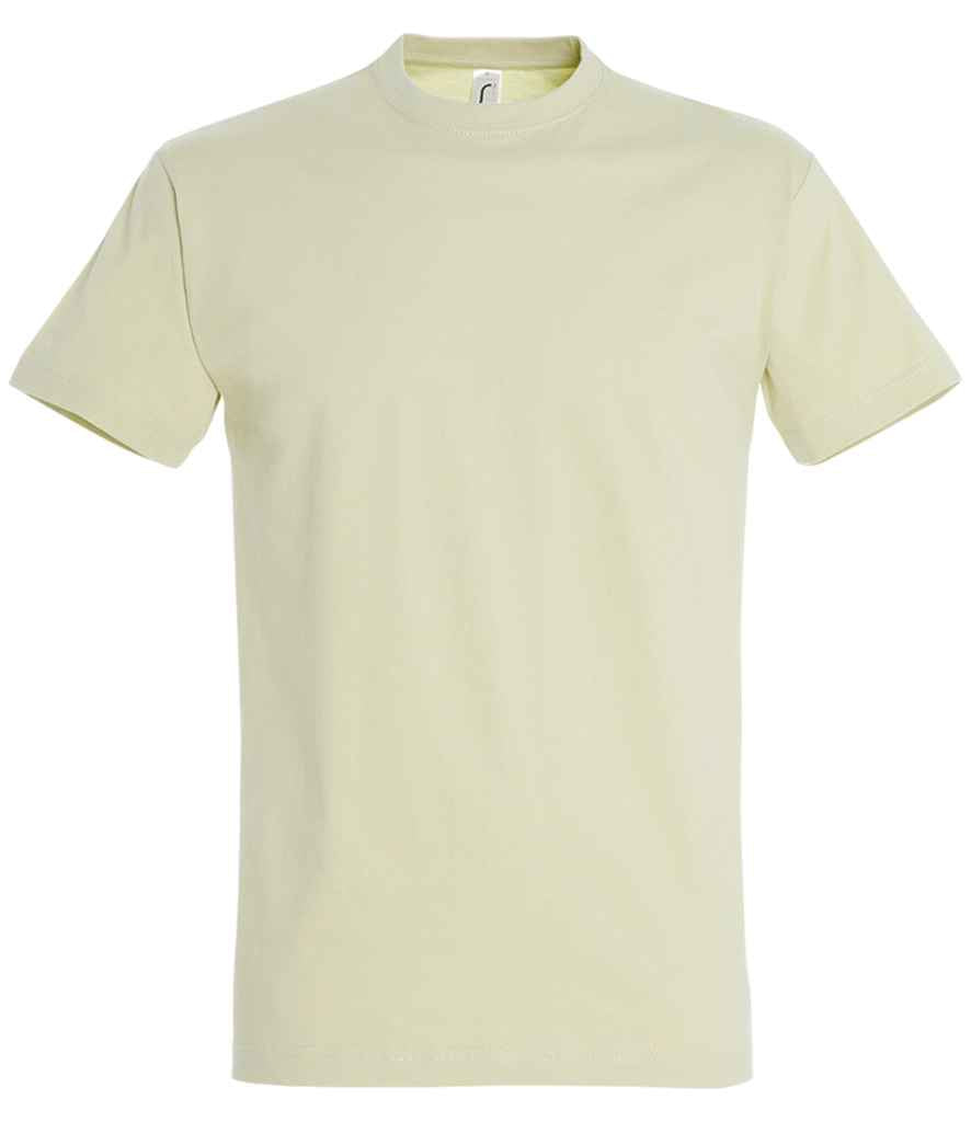SOL'S Imperial Heavy T-Shirt in Green Sage, front view