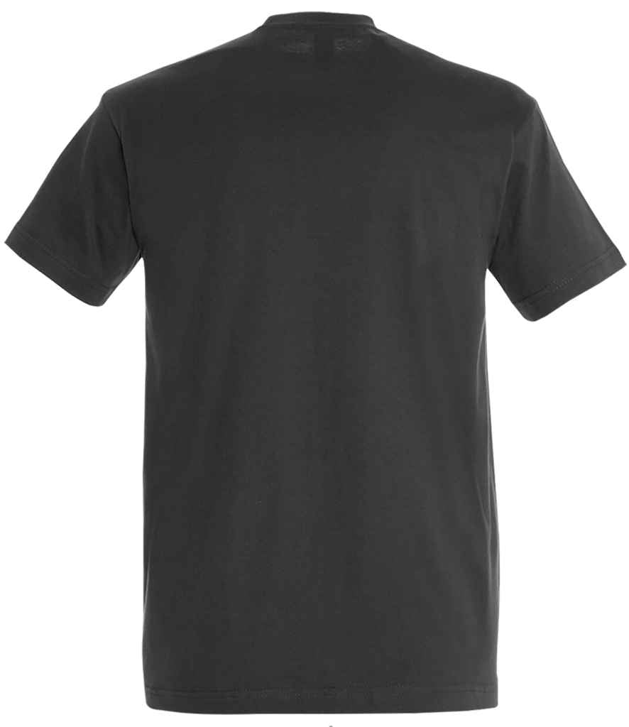 SOL'S Imperial Heavy T-Shirt, back view