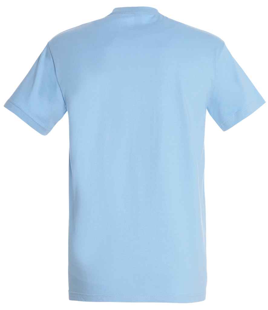 SOL'S Imperial Heavy T-Shirt in Sky Blue, back view