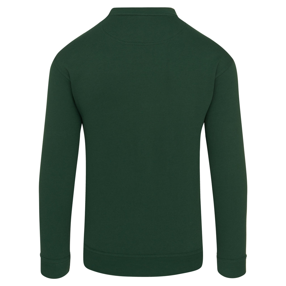 ØRN Kite Sweatshirt – Bottle – back