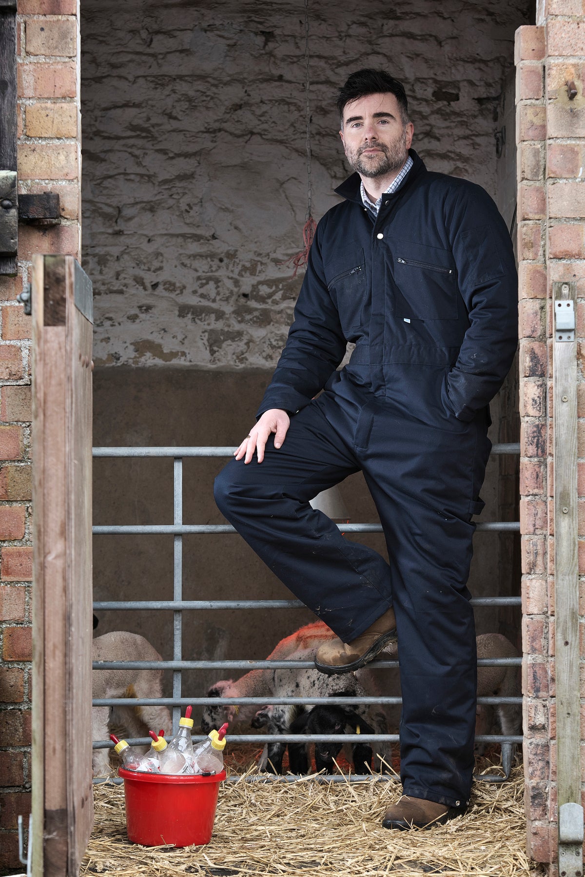 Fort 377 Padded Boilersuit in Navy Blue, image 3