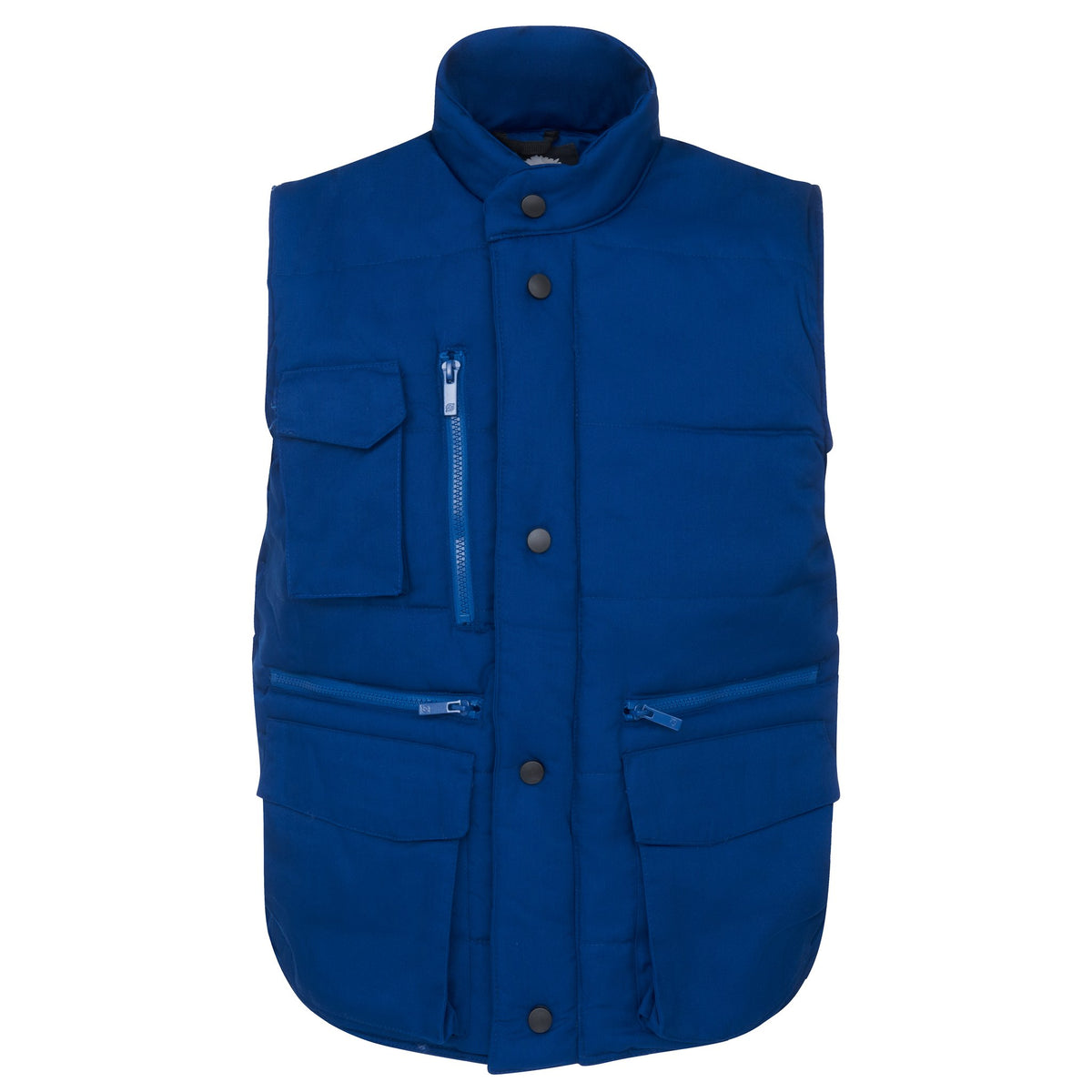 ØRN Eider Bodywarmer – Royal – front
