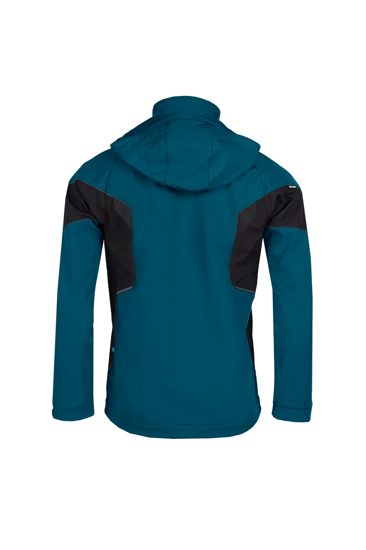 SYNQ Stunter in Petrol blue/Black, back view