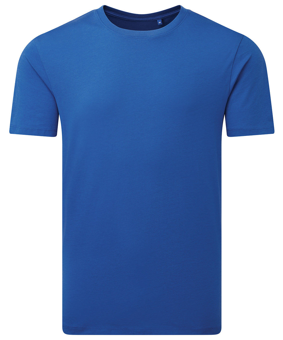 Anthem Midweight t-shirt in Royal, front view