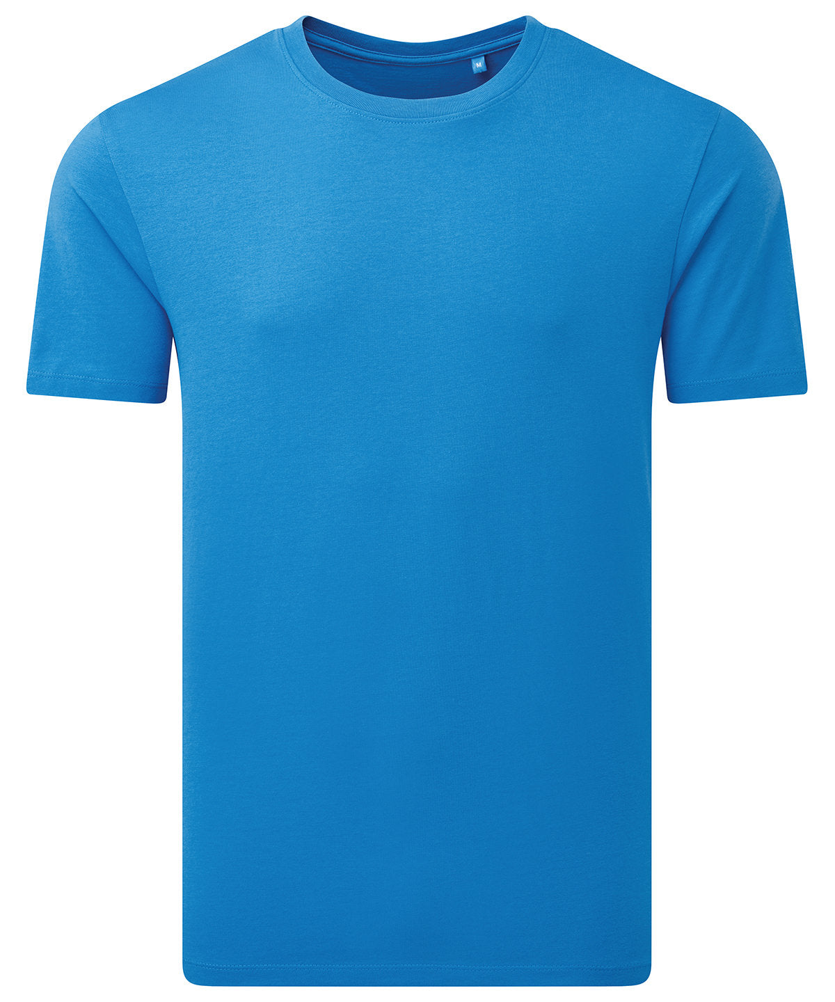 Anthem Midweight t-shirt in Sapphire, front view
