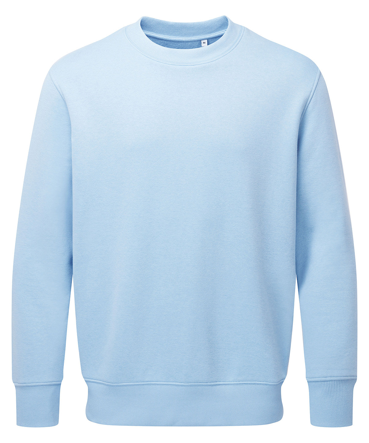 Anthem Sweatshirt in Light Blue, front view