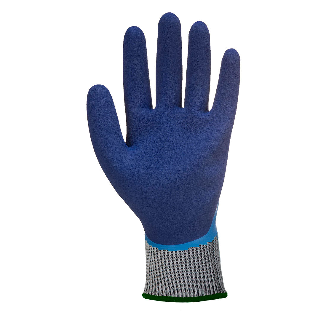 Portwest AP81 Cut D13 Latex Aqua Glove in Blue, back view