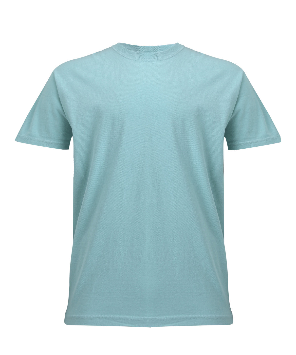 Comfort Colors Heavyweight adult t-shirt in Chalky Mint, front view