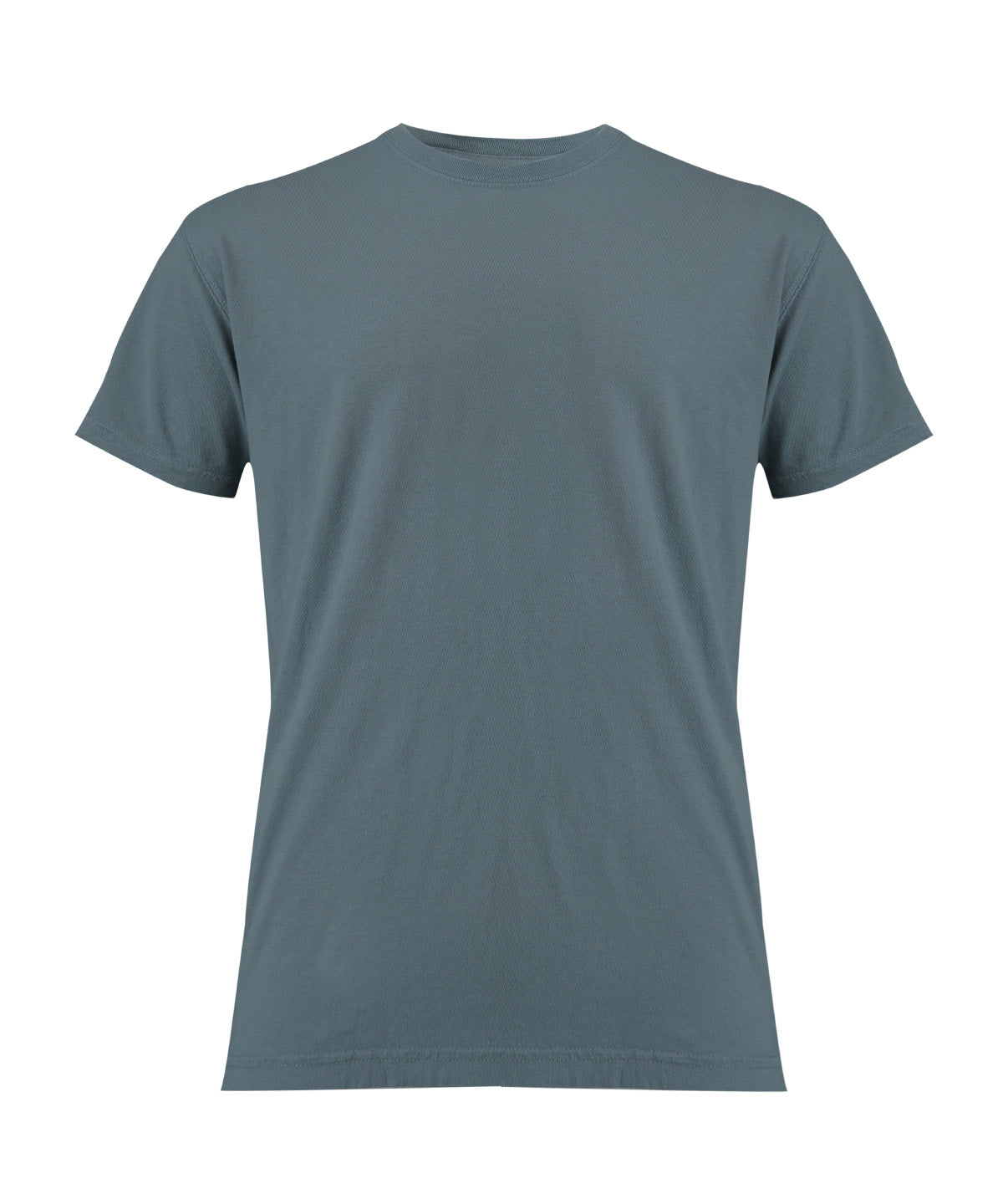Comfort Colors Heavyweight adult t-shirt in Ice Blue, front view
