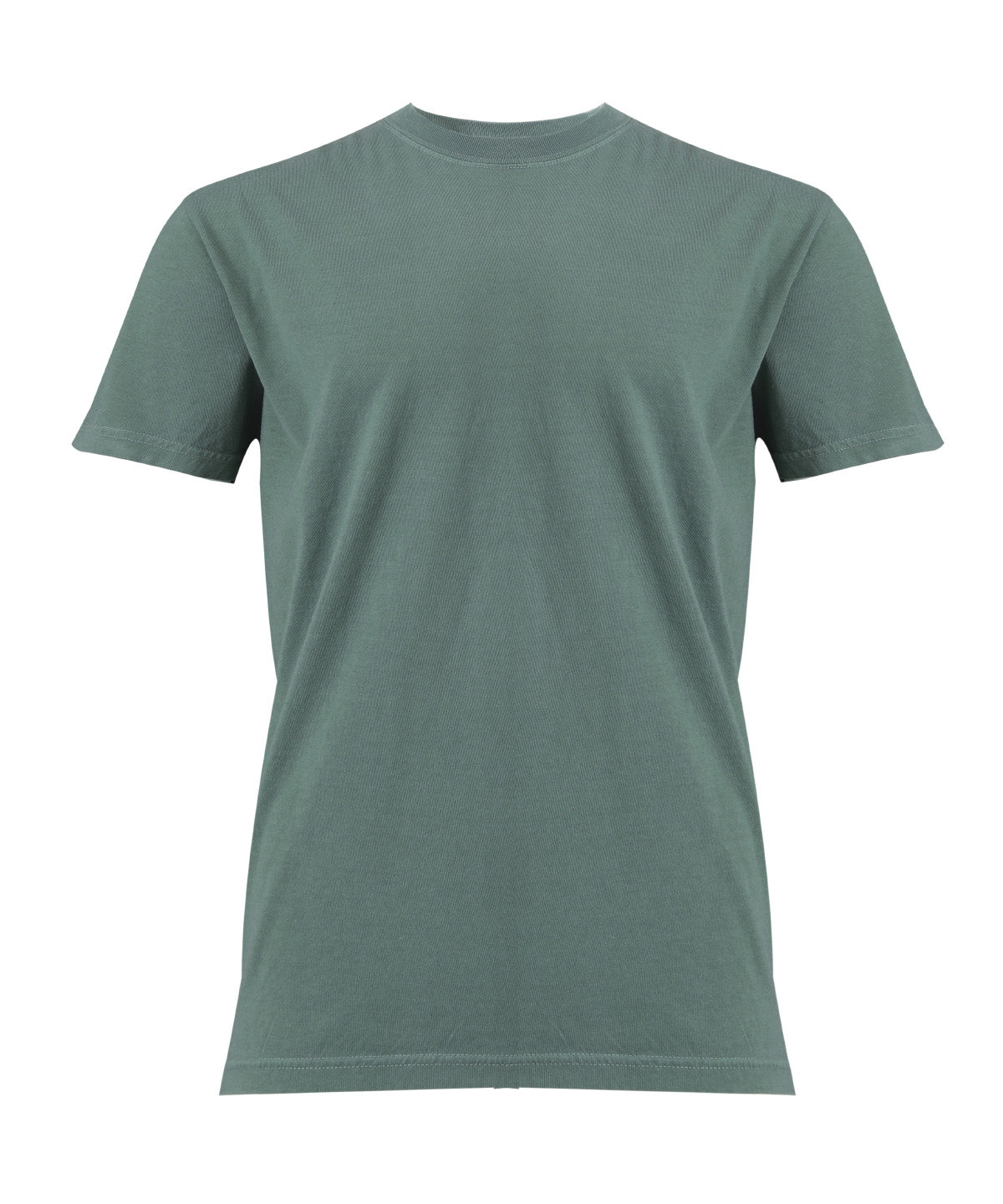 Comfort Colors Heavyweight adult t-shirt in Light Green, front view