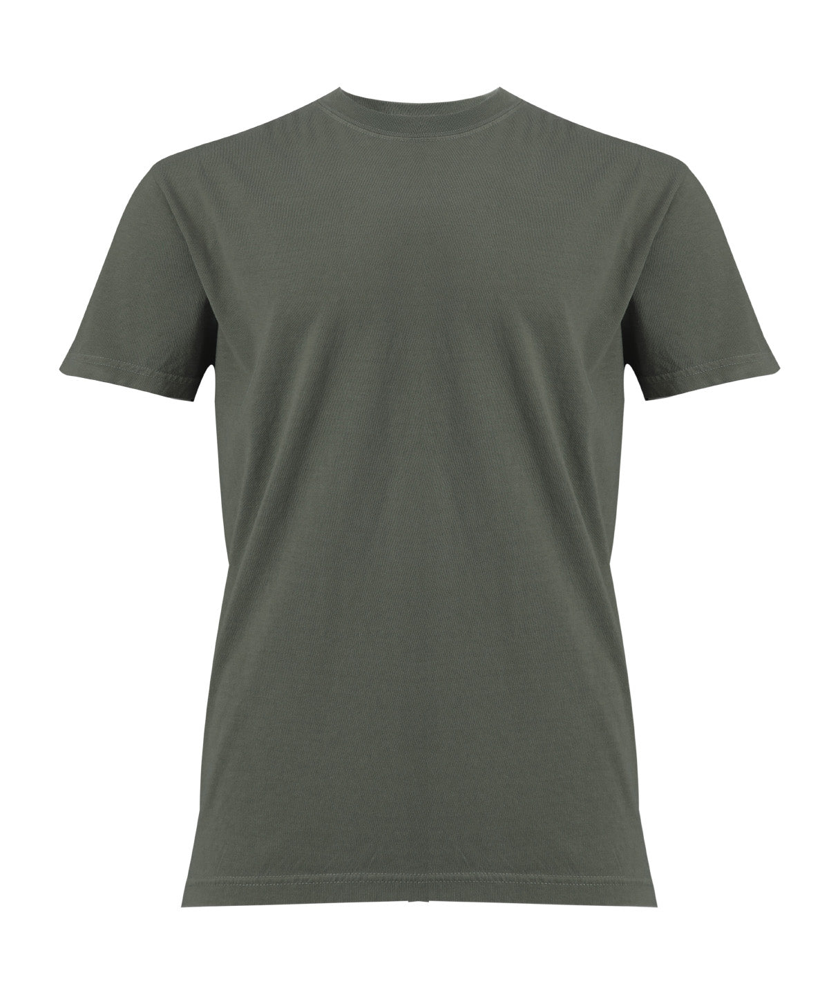 Comfort Colors Heavyweight adult t-shirt in Moss, front view