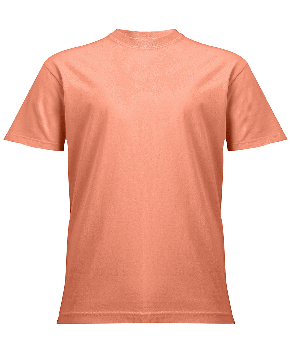 Comfort Colors Heavyweight adult t-shirt in Terracotta, front view