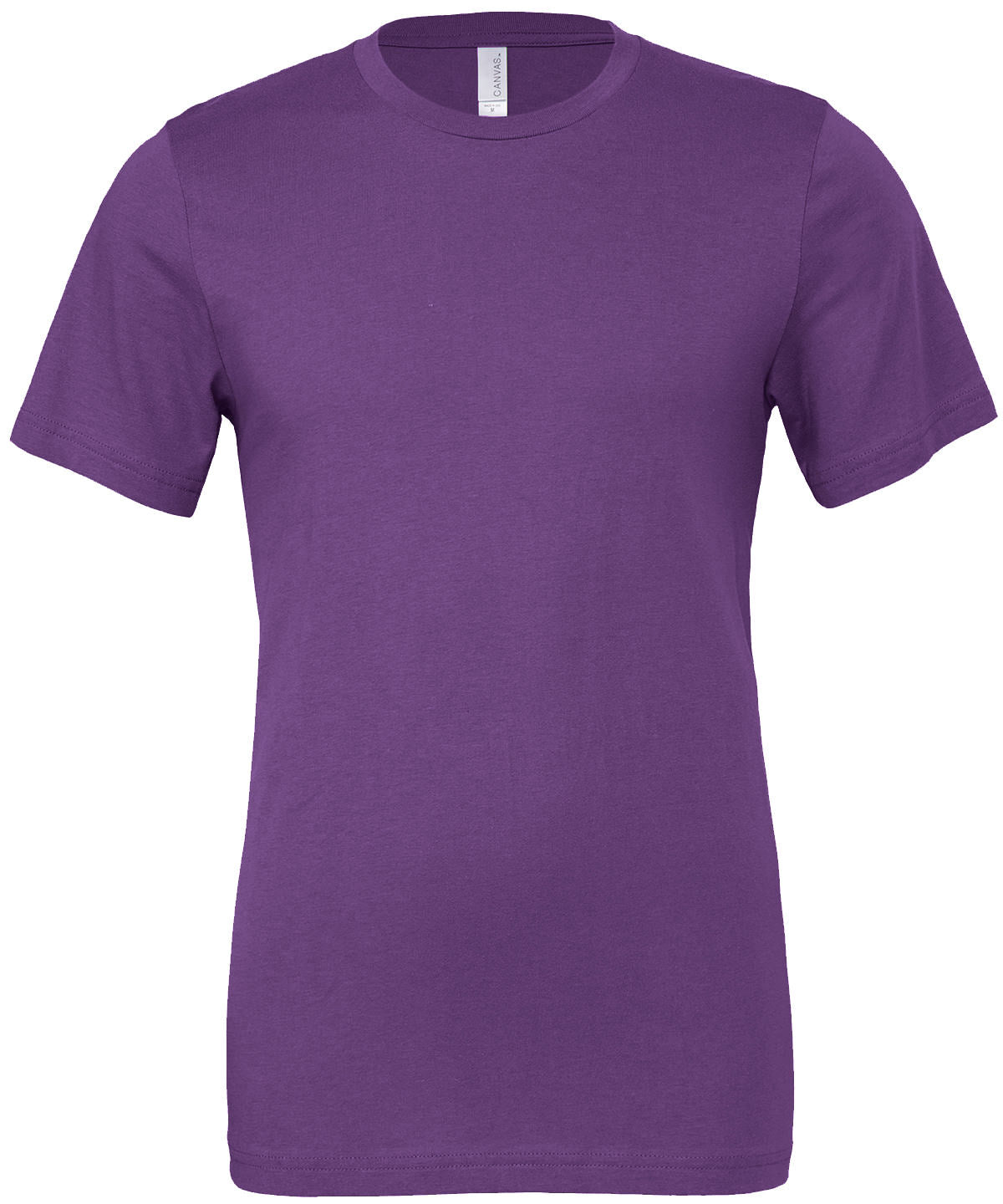Bella Canvas Unisex Jersey crew neck t-shirt in Royal Purple, front view