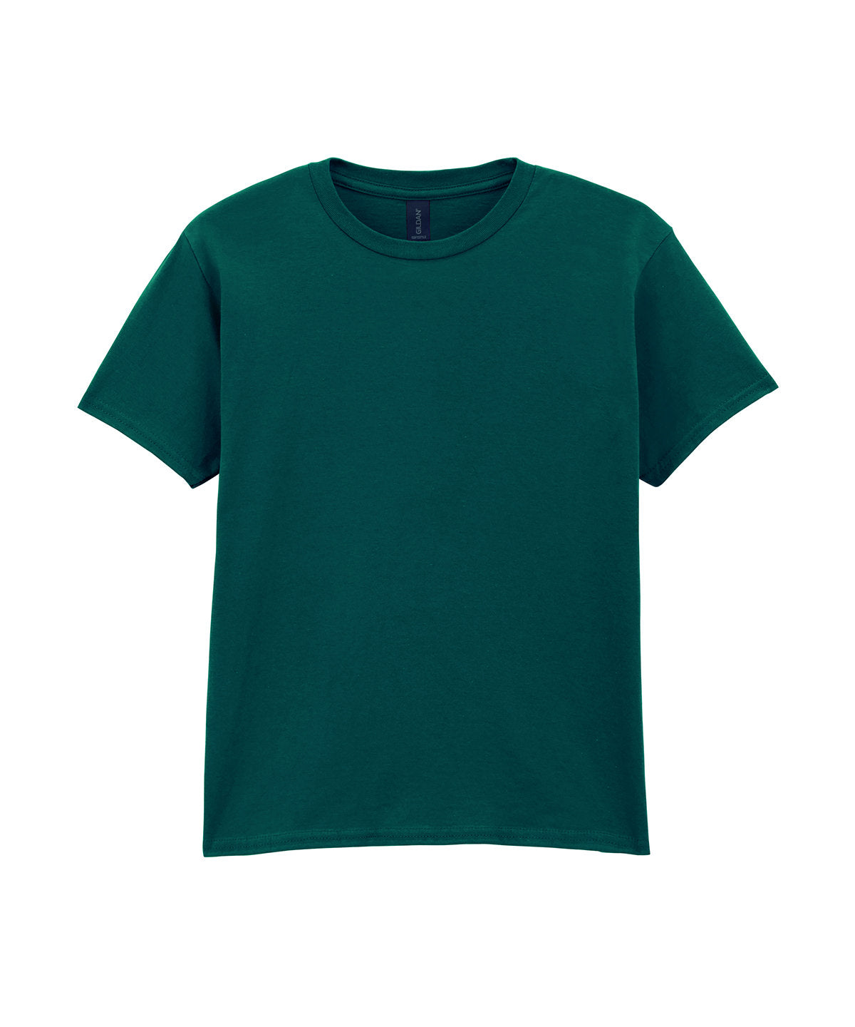Gildan Softstyle youth ringspun t-shirt in Fan Marine Green, front view