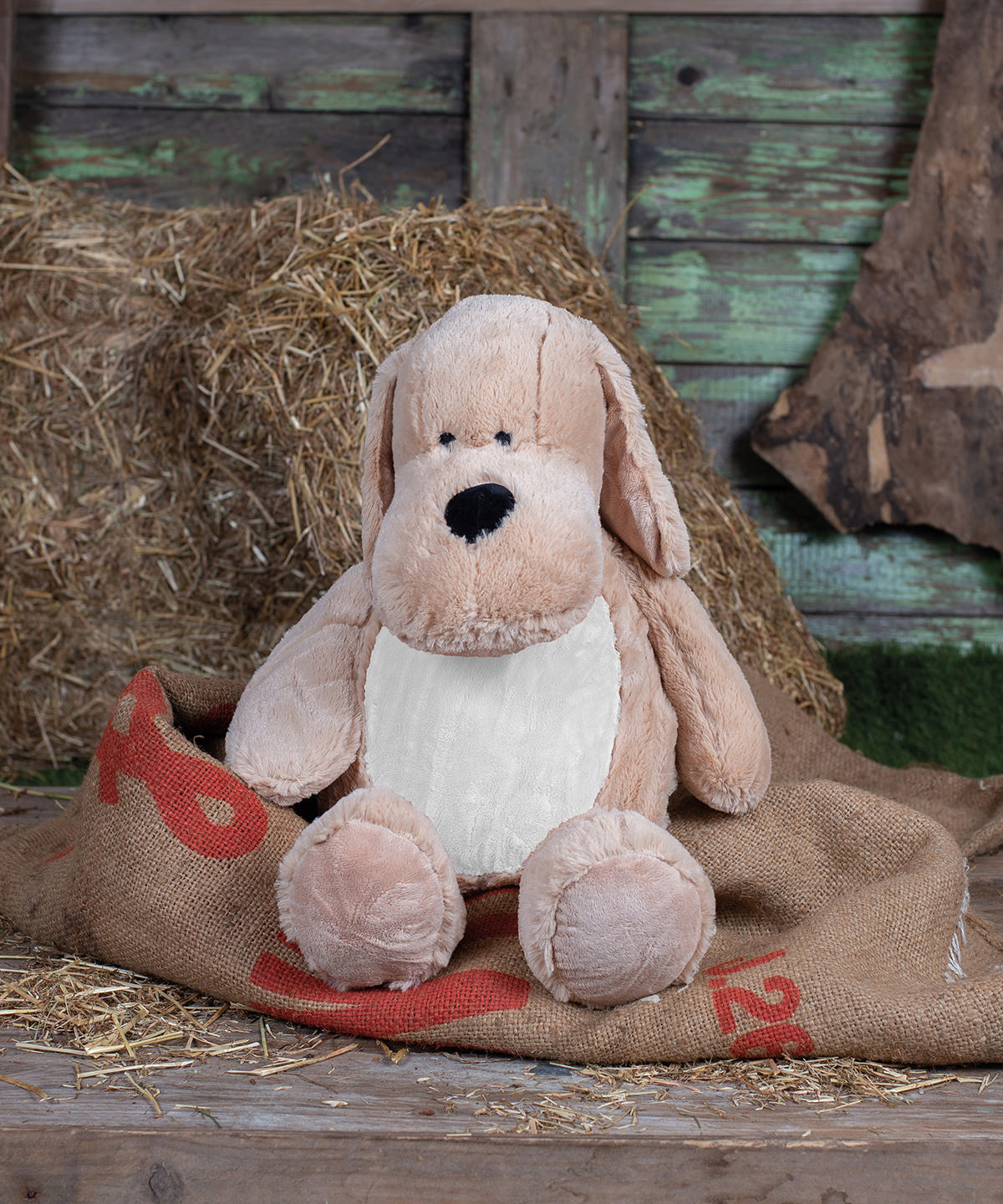Mumbles Zippie dog in Mid Brown, lifestyle photo