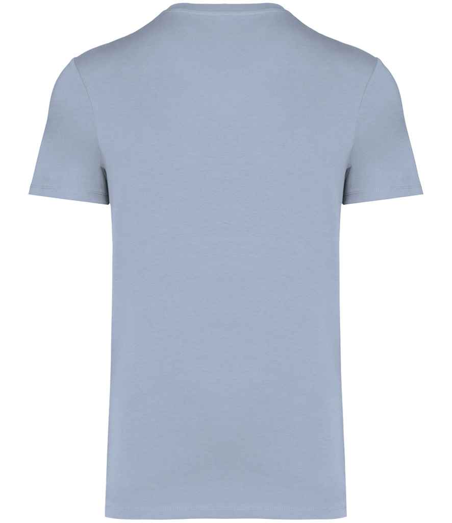Native Spirit Unisex Heavyweight T-Shirt in Aquamarine, back view