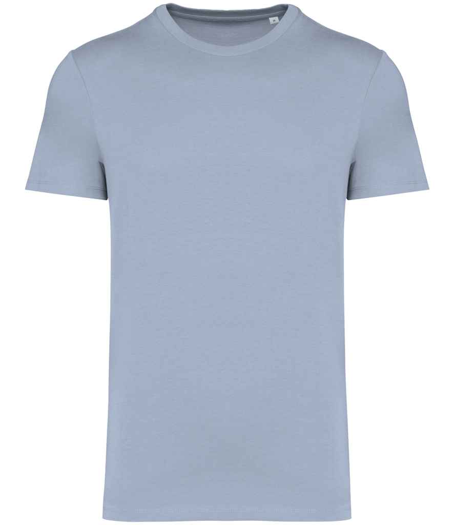 Native Spirit Unisex Heavyweight T-Shirt in Aquamarine, front view