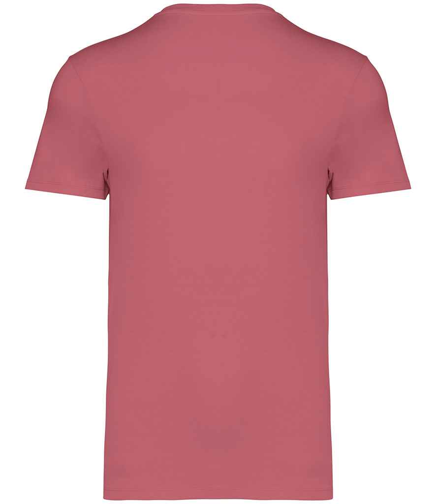 Native Spirit Unisex Heavyweight T-Shirt, back view