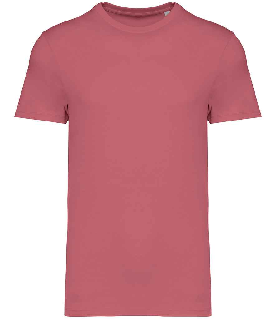 Native Spirit Unisex Heavyweight T-Shirt, front view