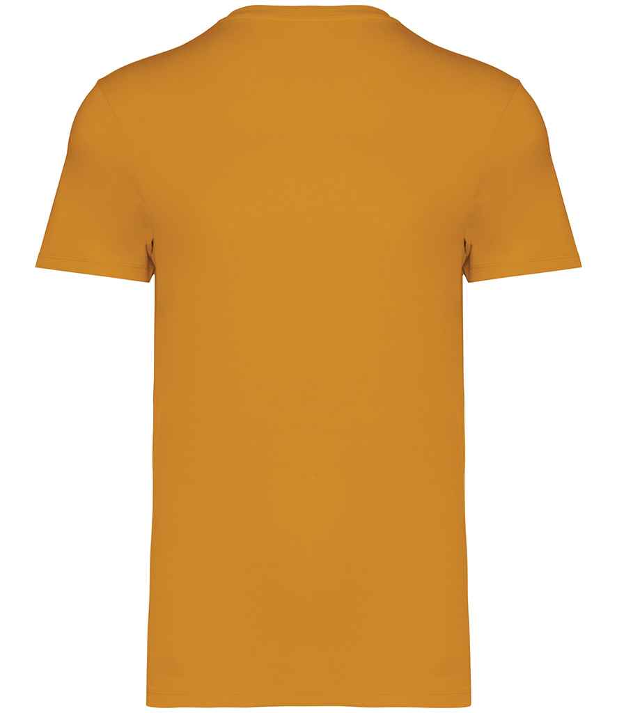 Native Spirit Unisex Heavyweight T-Shirt, back view