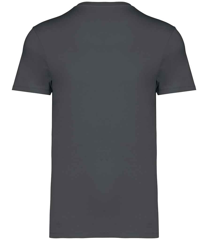 Native Spirit Unisex Heavyweight T-Shirt in Iron Grey, back view