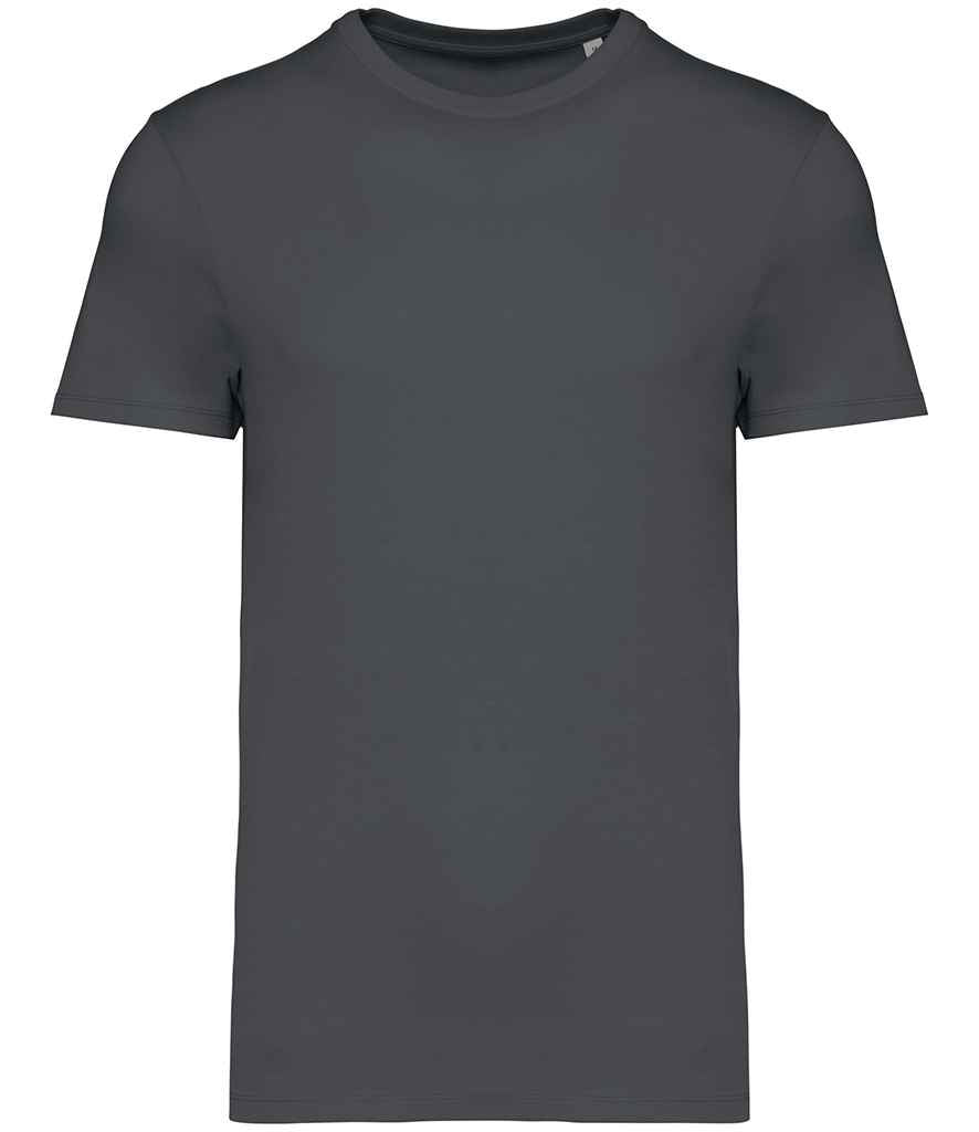 Native Spirit Unisex Heavyweight T-Shirt in Iron Grey, front view