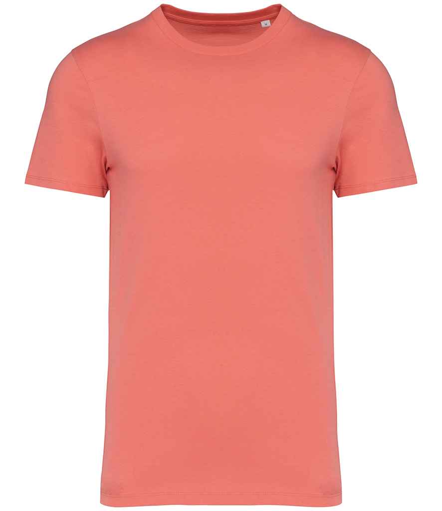 Native Spirit Unisex Heavyweight T-Shirt, front view