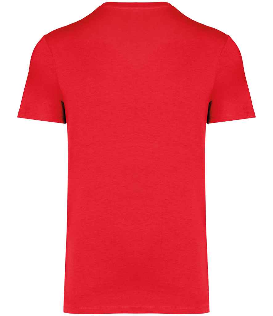 Native Spirit Unisex Heavyweight T-Shirt in Poppy Red, back view