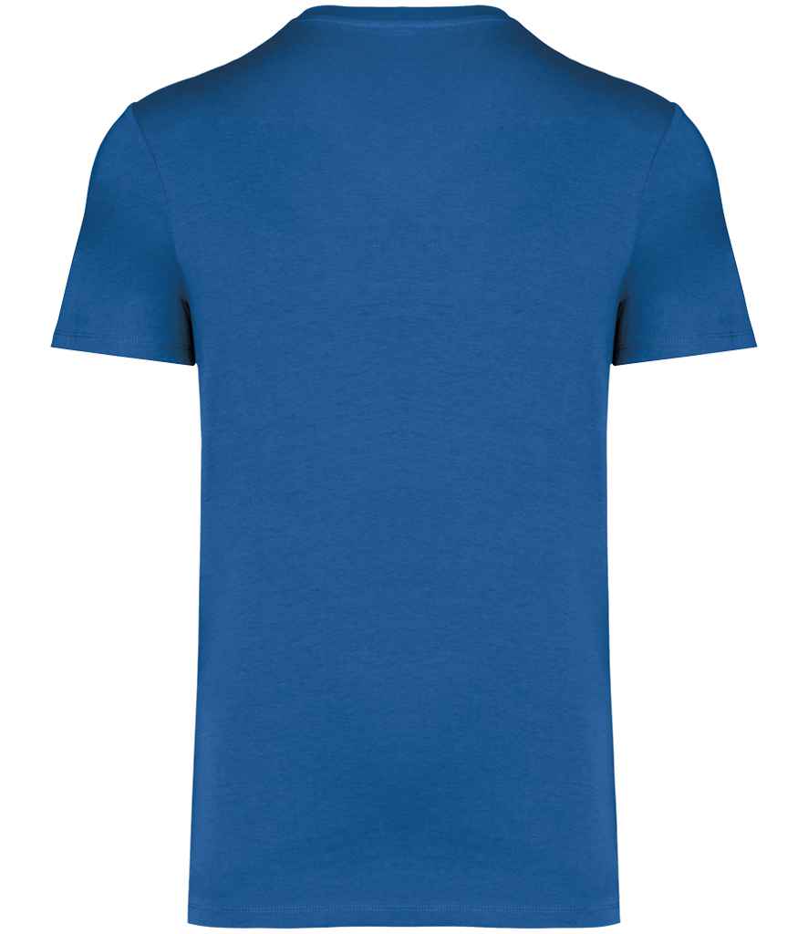 Native Spirit Unisex Heavyweight T-Shirt in Sea Blue, back view