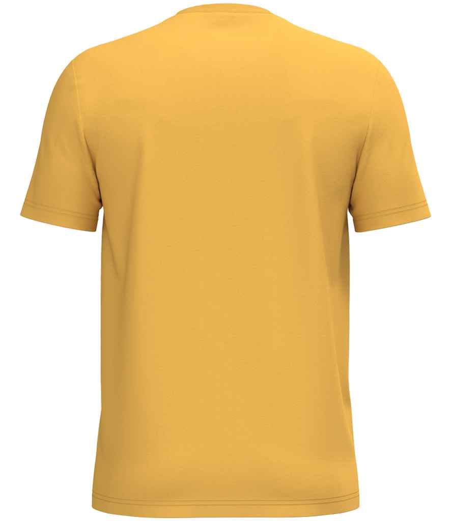 Native Spirit Unisex Heavyweight T-Shirt, back view