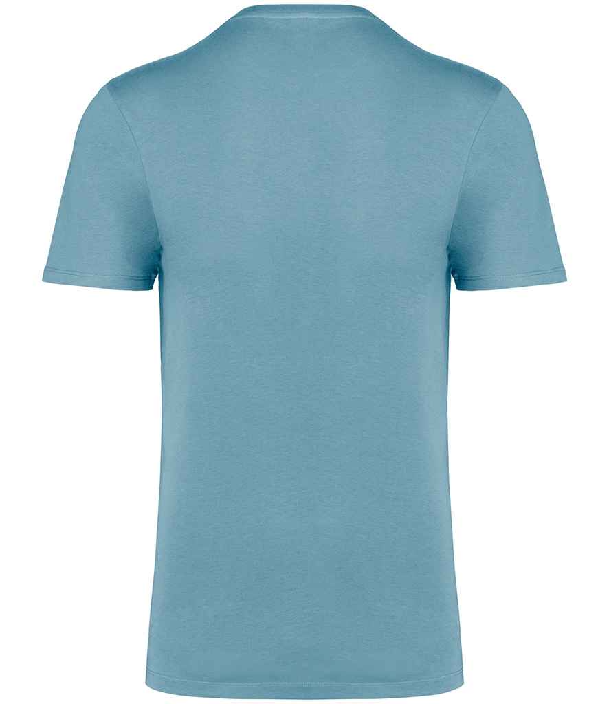 Native Spirit Unisex Crew Neck IC T-Shirt in Arctic Blue, back view