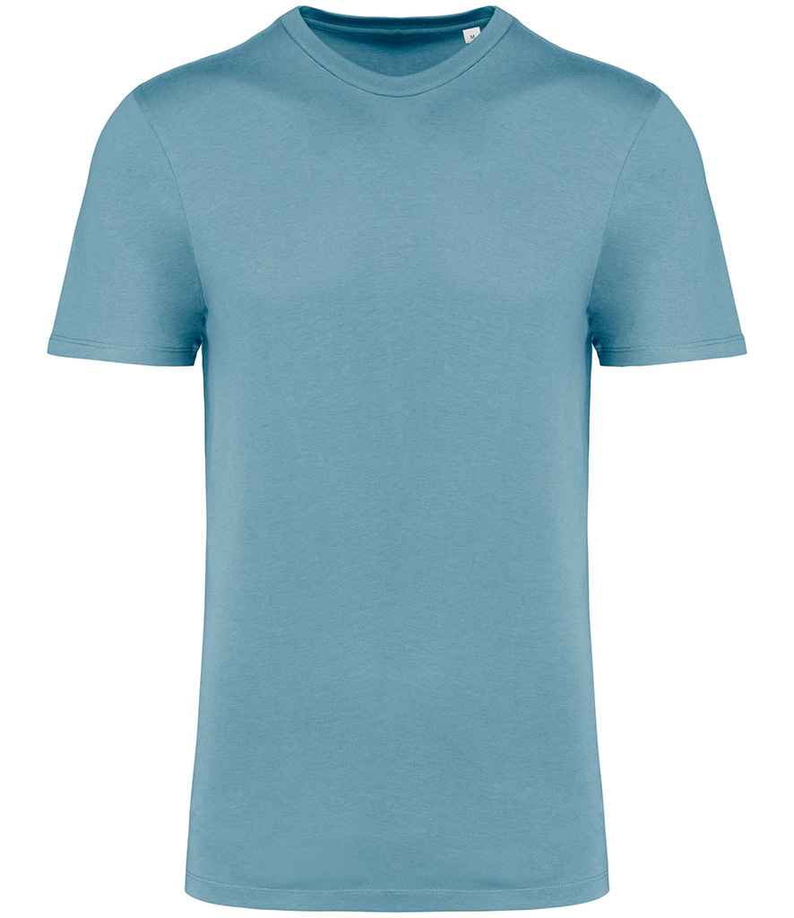 Native Spirit Unisex Crew Neck IC T-Shirt in Arctic Blue, front view