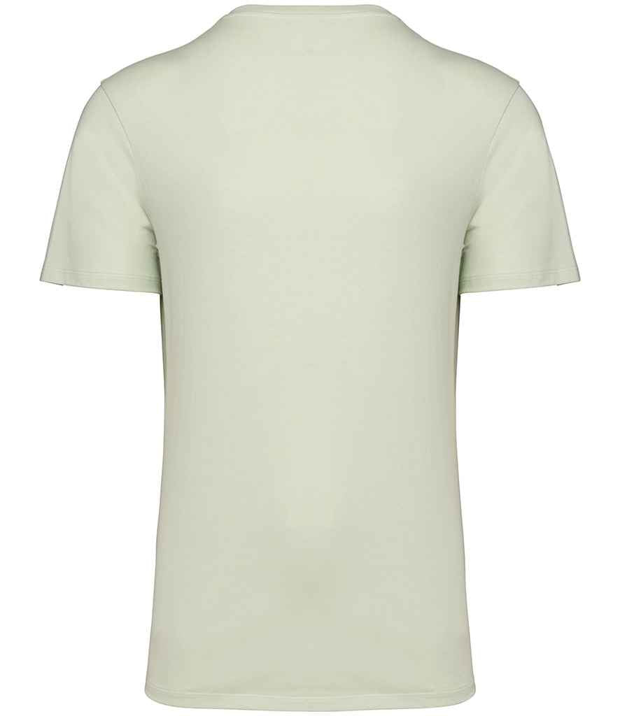 Native Spirit Unisex Crew Neck IC T-Shirt in Celadon Green, back view