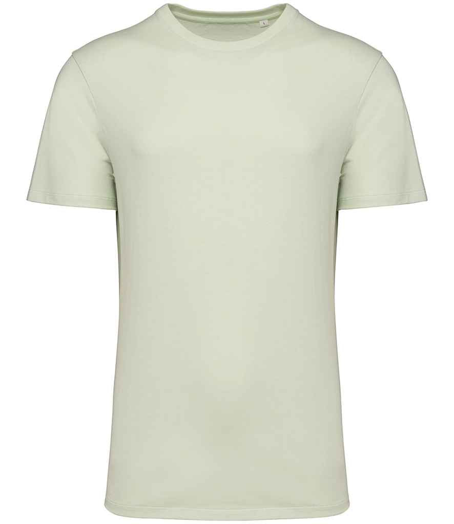 Native Spirit Unisex Crew Neck IC T-Shirt in Celadon Green, front view