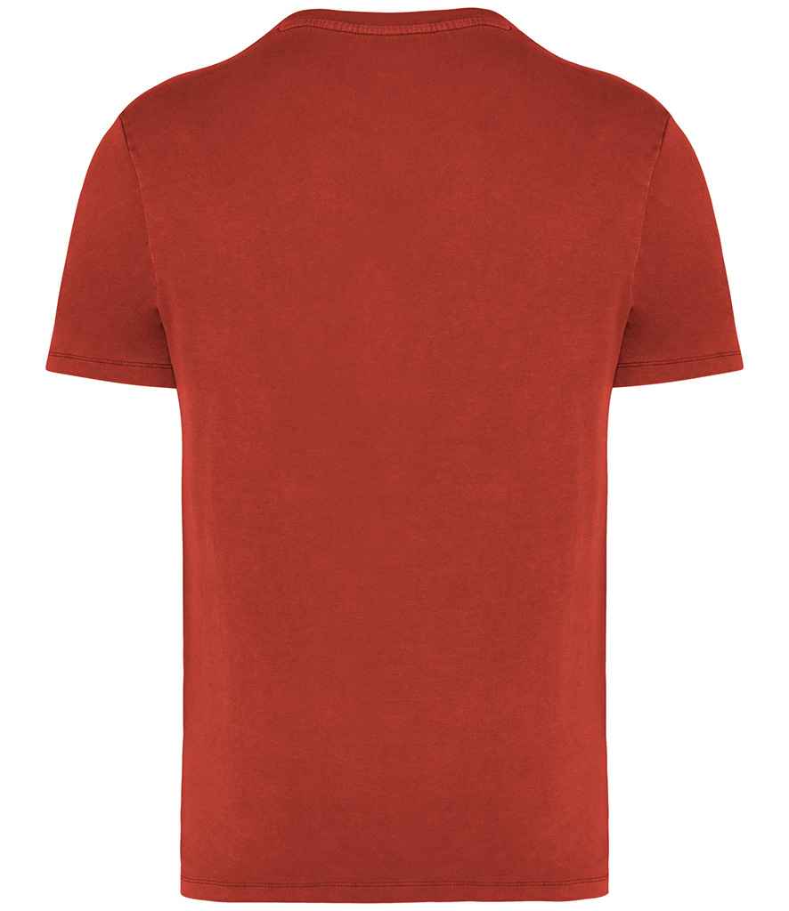 Native Spirit Unisex Faded T-Shirt in Washed Paprika, back view