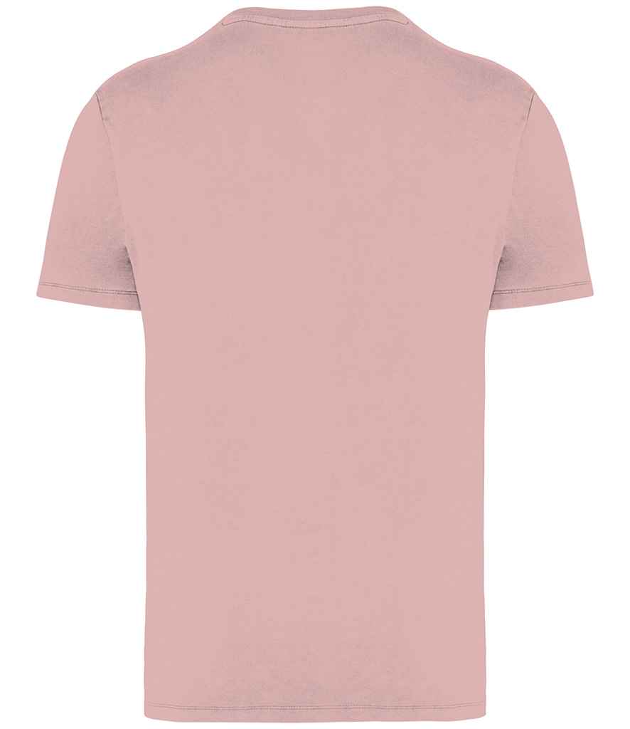 Native Spirit Unisex Faded T-Shirt in Washed Petal Rose, back view