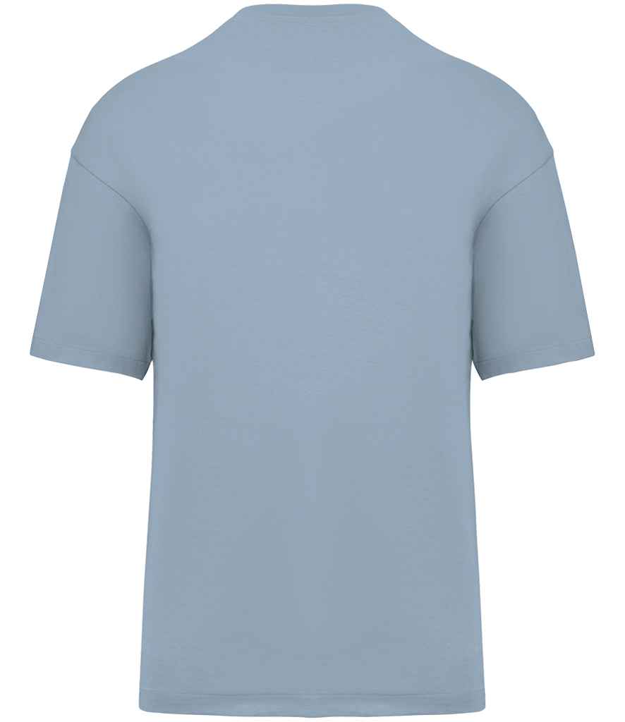 Native Spirit Oversized T-Shirt in Aquamarine, back view