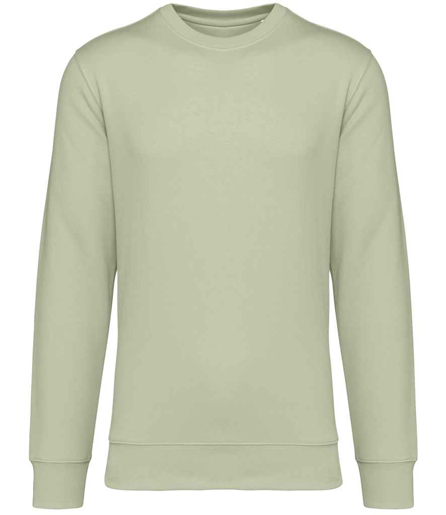 Native Spirit Unisex Heavyweight Crew Neck Sweatshirt in Celadon Green, front view